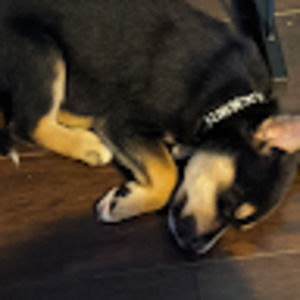 Meet your Posher, David